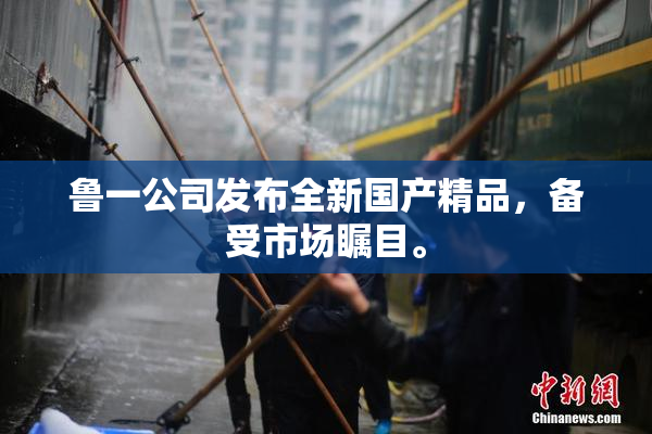 鲁一公司发布全新国产精品，备受市场瞩目。