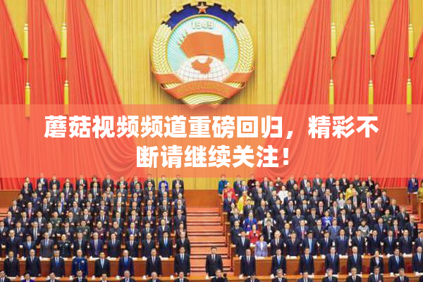 蘑菇视频频道重磅回归，精彩不断请继续关注！