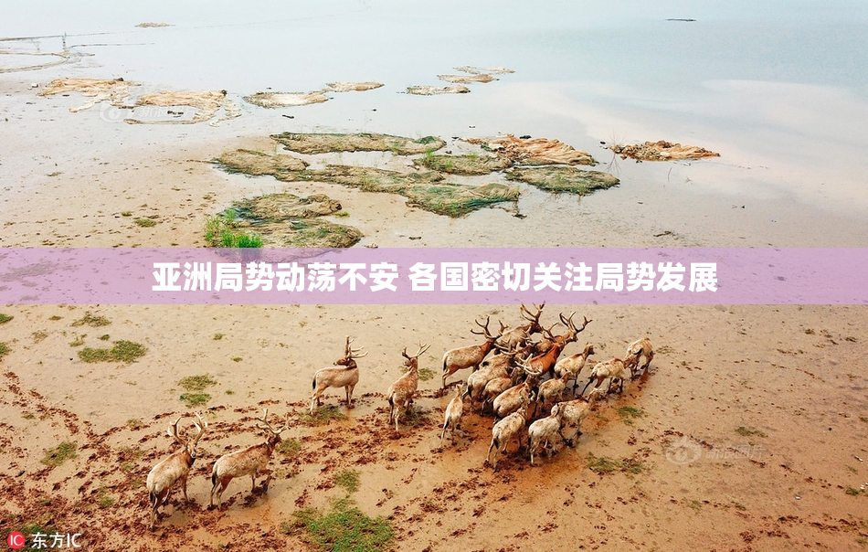 亚洲局势动荡不安 各国密切关注局势发展