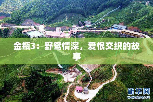 金瓶3：野鸳情深，爱恨交织的故事