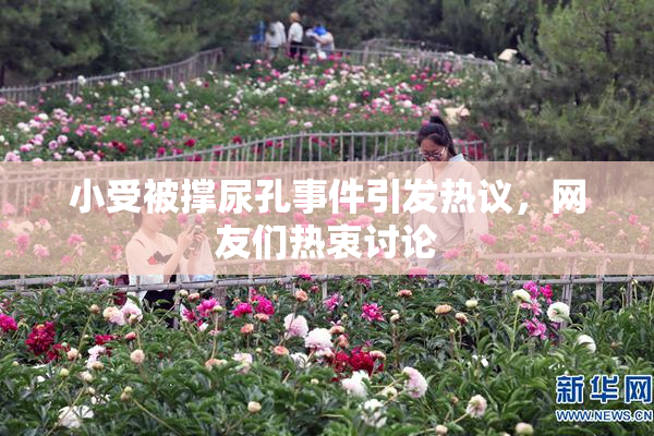 小受被撑尿孔事件引发热议，网友们热衷讨论
