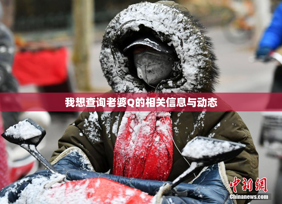 我想查询老婆Q的相关信息与动态
