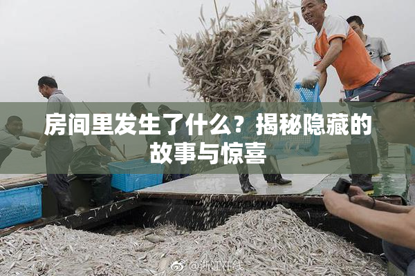 房间里发生了什么？揭秘隐藏的故事与惊喜