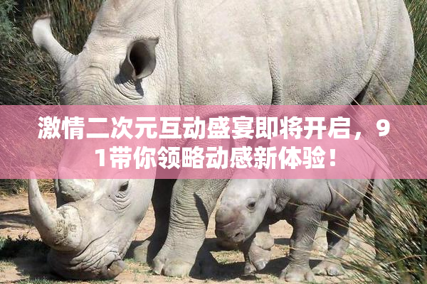 激情二次元互动盛宴即将开启，91带你领略动感新体验！
