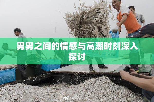 男男之间的情感与高潮时刻深入探讨