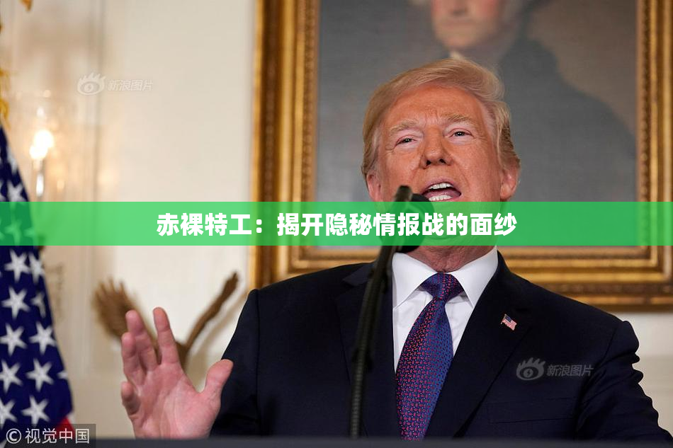 赤裸特工：揭开隐秘情报战的面纱