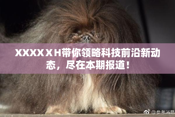 XXXXⅩH带你领略科技前沿新动态，尽在本期报道！