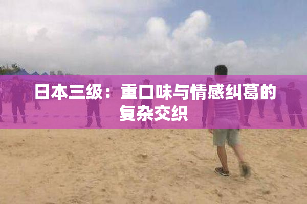 日本三级：重口味与情感纠葛的复杂交织