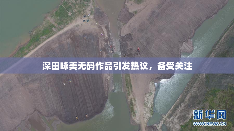 深田咏美无码作品引发热议，备受关注