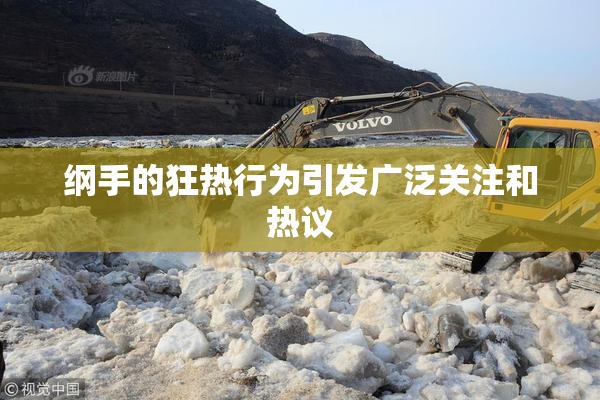 纲手的狂热行为引发广泛关注和热议