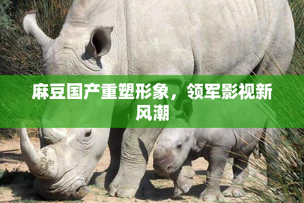 麻豆国产重塑形象，领军影视新风潮