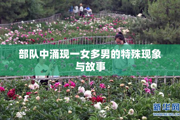 部队中涌现一女多男的特殊现象与故事