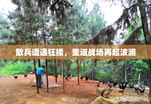 散兵遭遇狂揉，重返战场再起波澜