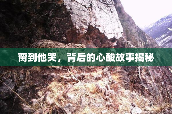 脔到他哭，背后的心酸故事揭秘