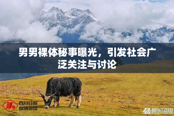 男男裸体秘事曝光，引发社会广泛关注与讨论
