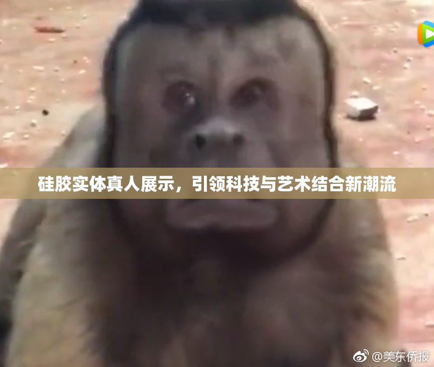 硅胶实体真人展示，引领科技与艺术结合新潮流