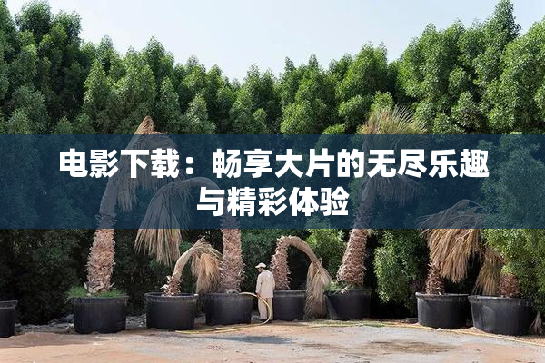 电影下载：畅享大片的无尽乐趣与精彩体验