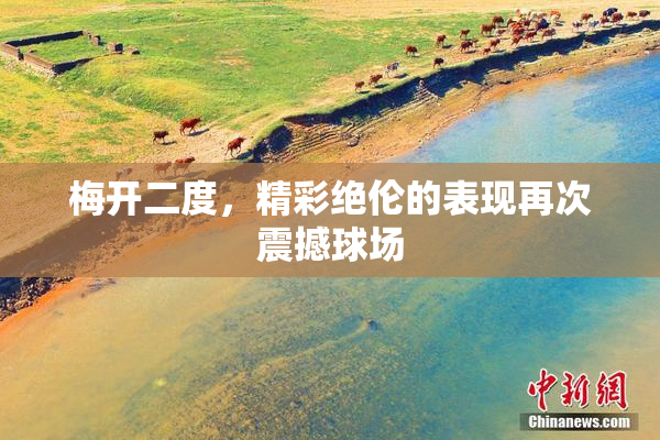 梅开二度，精彩绝伦的表现再次震撼球场