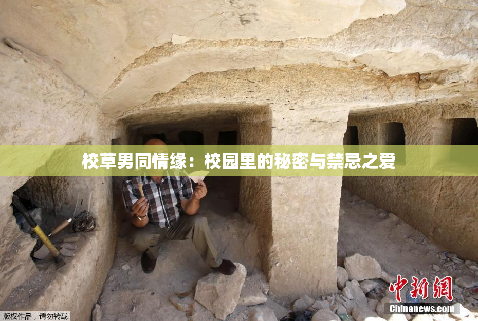 校草男同情缘：校园里的秘密与禁忌之爱