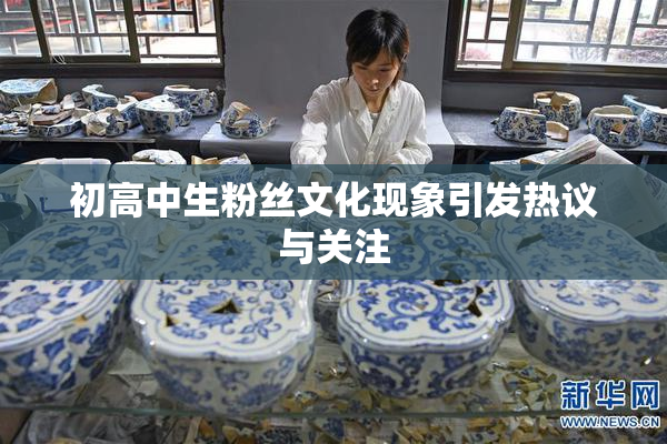 初高中生粉丝文化现象引发热议与关注