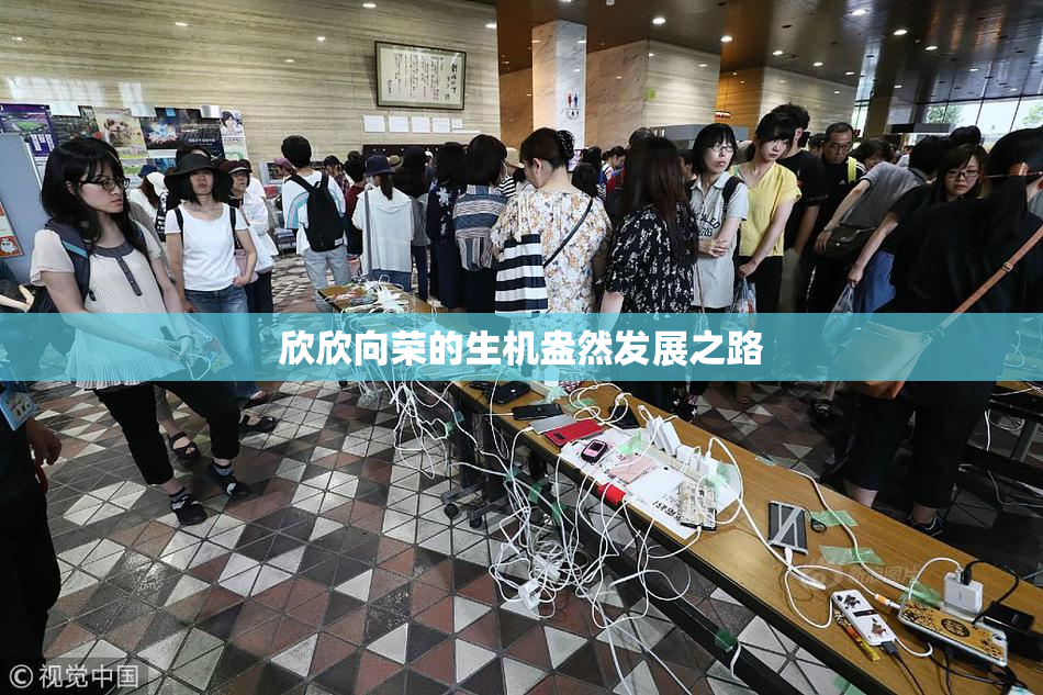 欣欣向荣的生机盎然发展之路