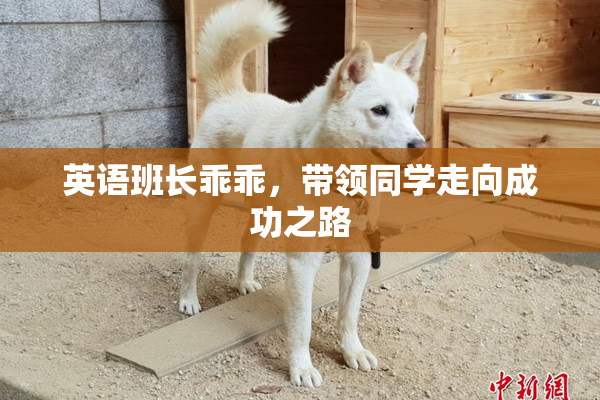 英语班长乖乖，带领同学走向成功之路