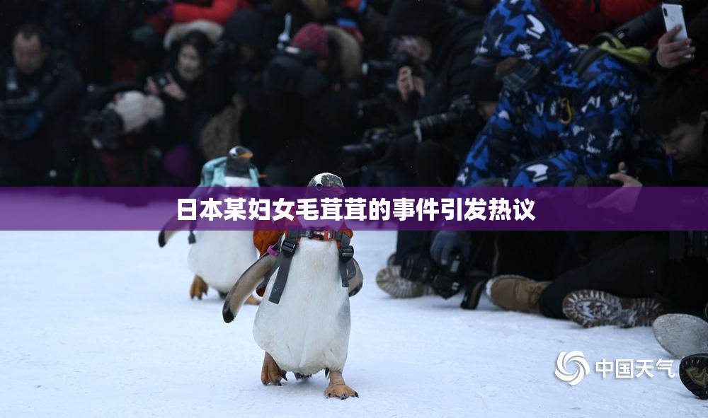 日本某妇女毛茸茸的事件引发热议