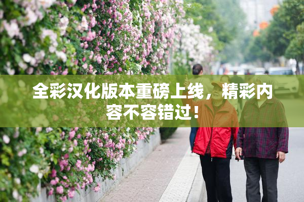 全彩汉化版本重磅上线，精彩内容不容错过！