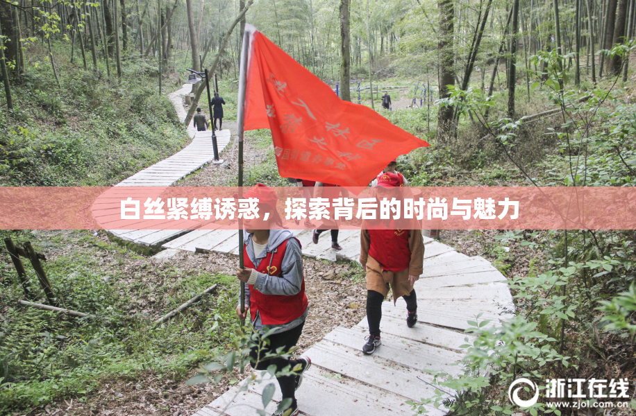 白丝紧缚诱惑，探索背后的时尚与魅力