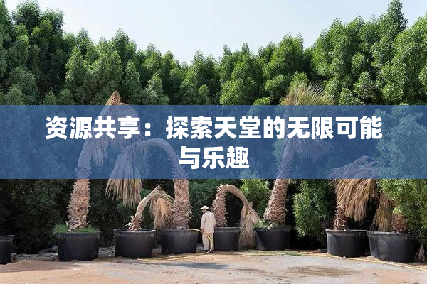 资源共享：探索天堂的无限可能与乐趣