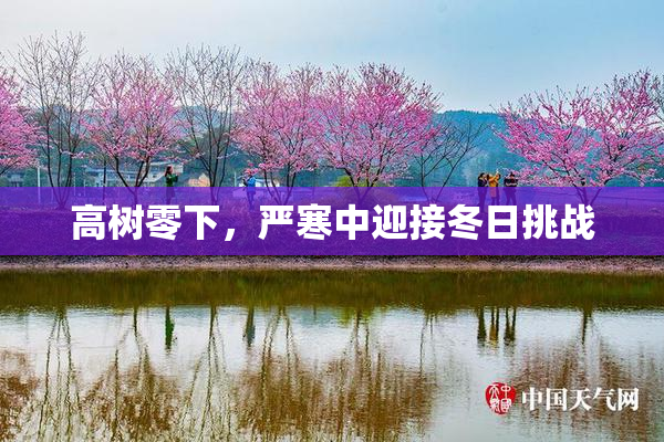 高树零下，严寒中迎接冬日挑战