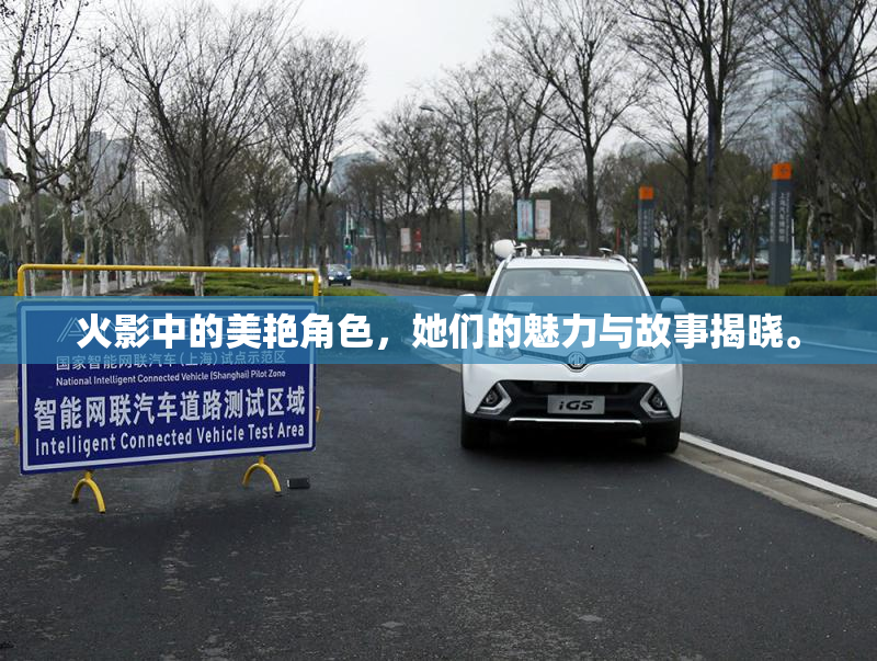 火影中的美艳角色，她们的魅力与故事揭晓。