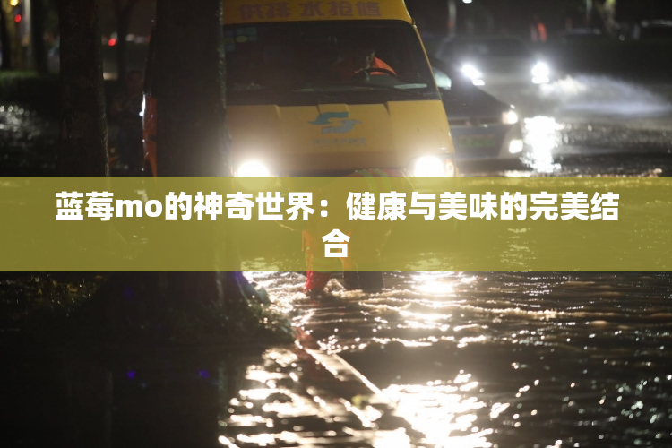 蓝莓mo的神奇世界：健康与美味的完美结合