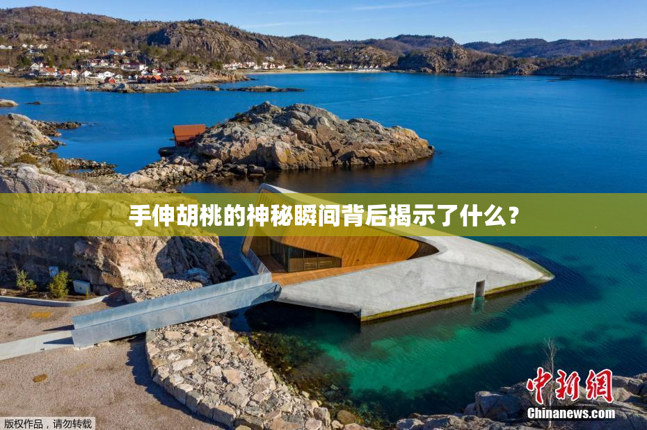 手伸胡桃的神秘瞬间背后揭示了什么？
