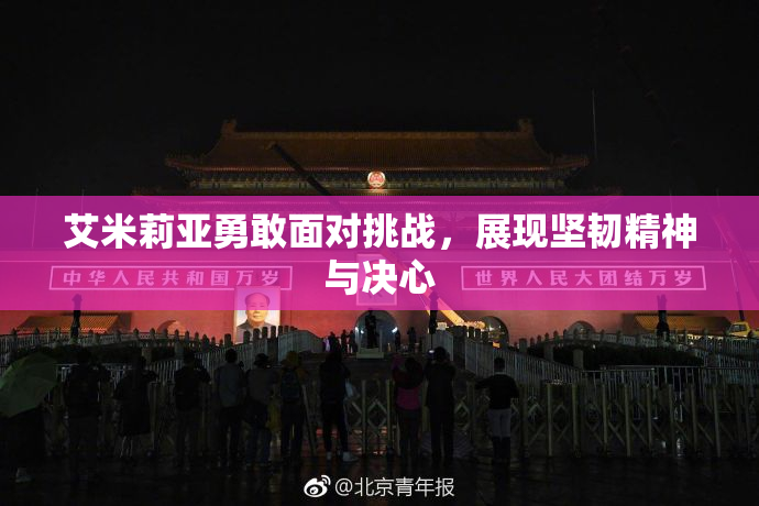 艾米莉亚勇敢面对挑战，展现坚韧精神与决心