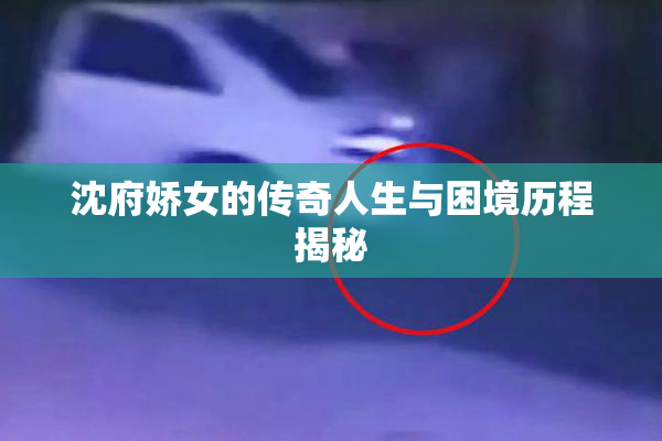 沈府娇女的传奇人生与困境历程揭秘