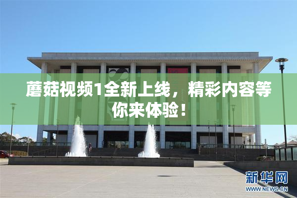 蘑菇视频1全新上线，精彩内容等你来体验！