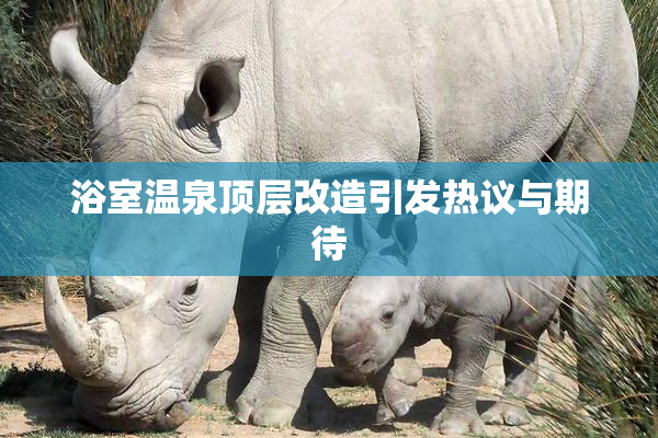 浴室温泉顶层改造引发热议与期待
