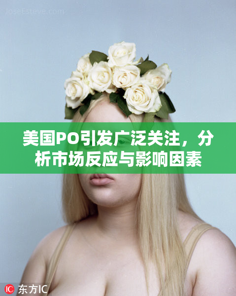 美国PO引发广泛关注，分析市场反应与影响因素