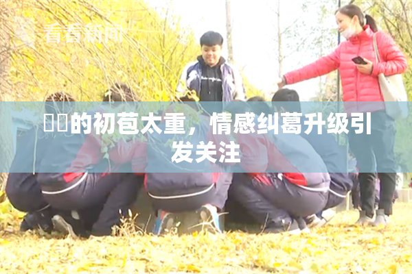 妺妺的初苞太重，情感纠葛升级引发关注