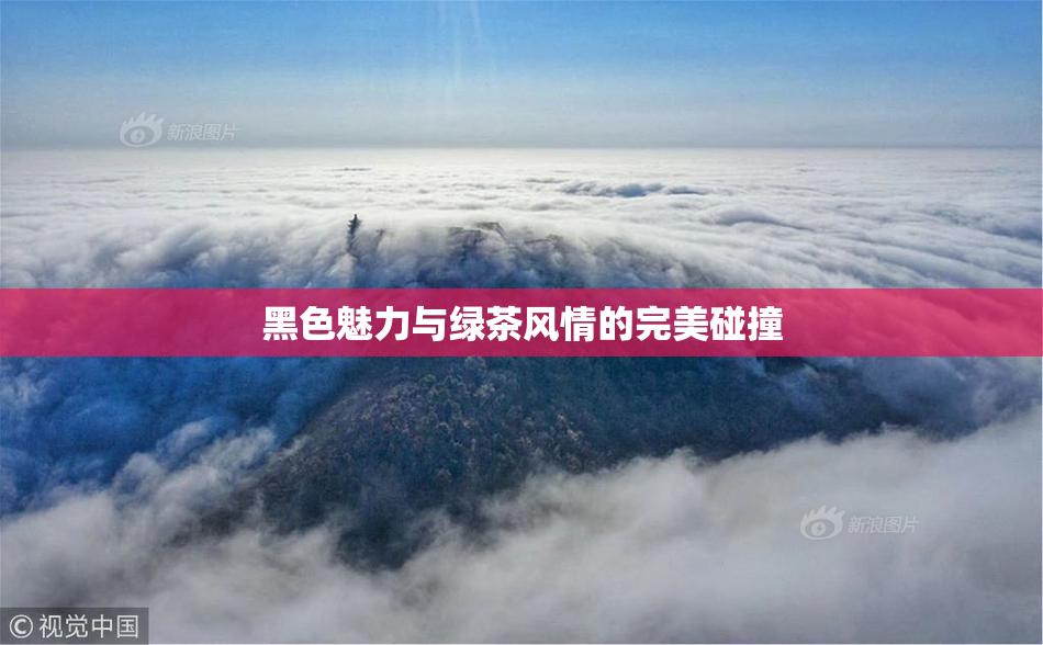 黑色魅力与绿茶风情的完美碰撞