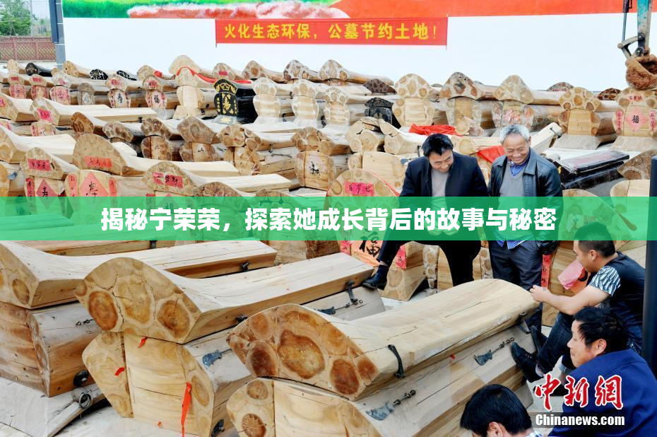 揭秘宁荣荣，探索她成长背后的故事与秘密