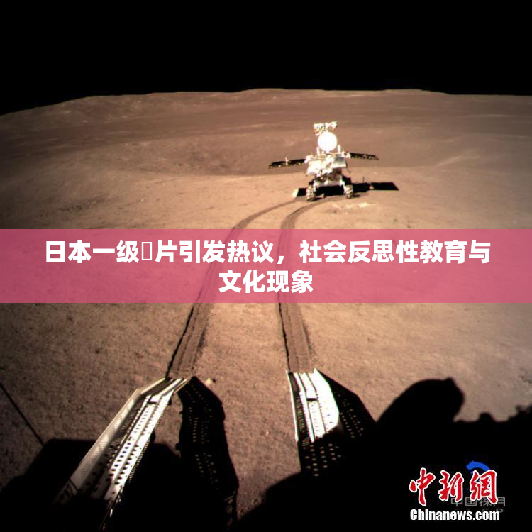 日本一级婬片引发热议，社会反思性教育与文化现象