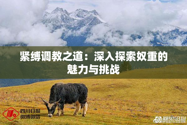 紧缚调教之道：深入探索奴重的魅力与挑战