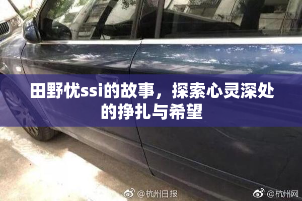田野忧ssi的故事，探索心灵深处的挣扎与希望