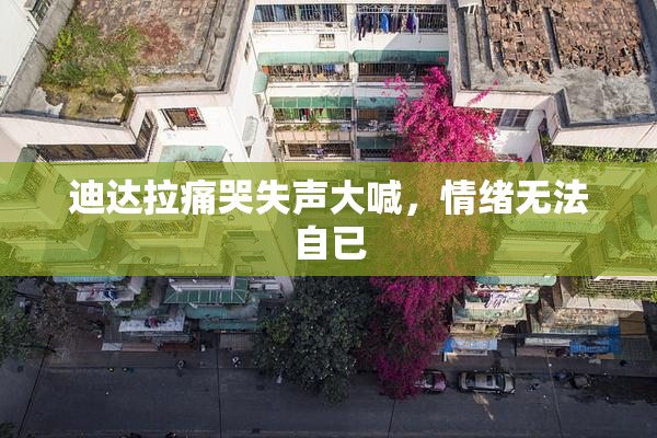 迪达拉痛哭失声大喊，情绪无法自已