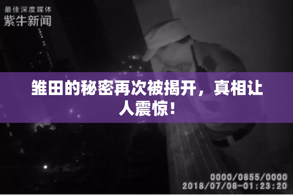 雏田的秘密再次被揭开，真相让人震惊！