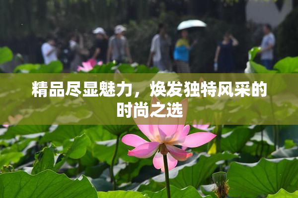 精品尽显魅力，焕发独特风采的时尚之选