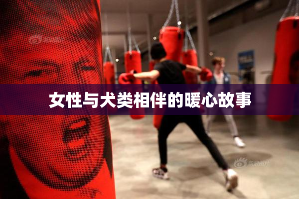 女性与犬类相伴的暖心故事