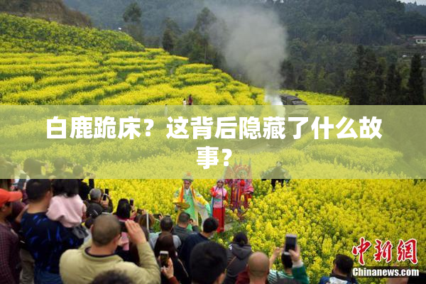 白鹿跪床？这背后隐藏了什么故事？